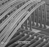 EX1 use for fine IC Package(EX1-φ18μm)